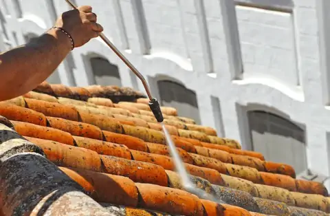 Nettoyage de toitures - Limay